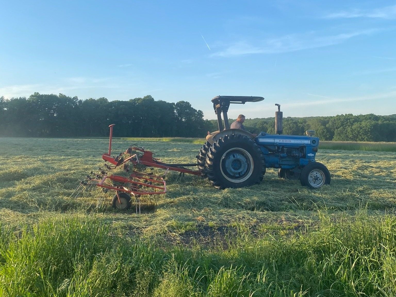 A blue tractor with a red hay rake is working in a sunlit field, cutting grass for hay while a farmer operates the machinery. Lush greenery surrounds the area, showcasing a peaceful rural landscape.