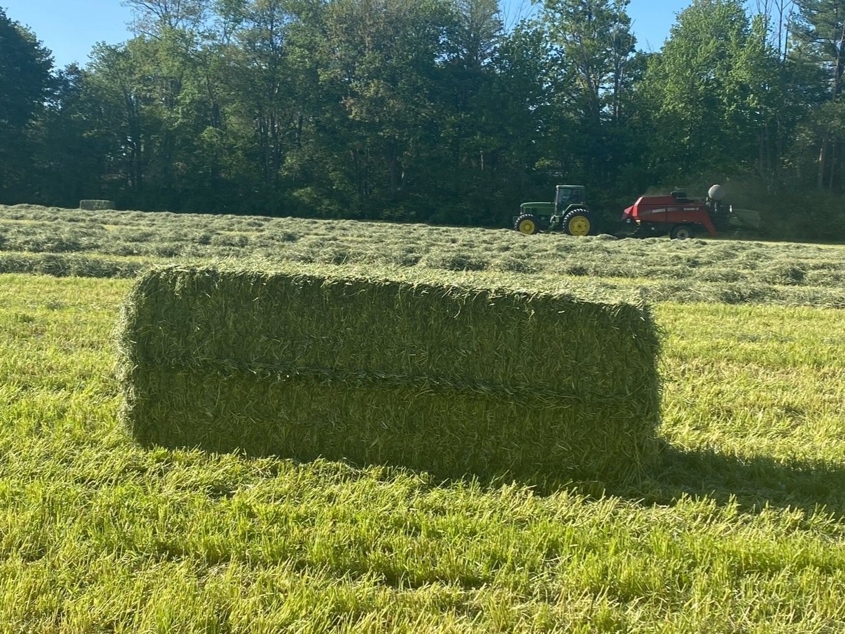 Rockland+Farm+LLC+-+B3B6330B-8B09-4661-9B4F-A9FD8B9C0138 Baled hay in a lush green field with a tractor and hay baler in the background, showcasing agricultural practices and the harvest process.